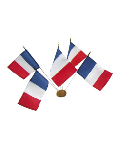 Lot de 10 drapeaux France 10 x 15