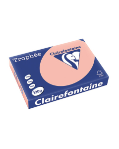 Papier Clairalfa Trophée couleur vive 120g A4 250 feuilles pêche Clairefontaine