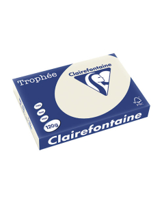 Papier Clairalfa Trophée couleur vive 120g A4 250 feuilles gris perle Clairefontaine