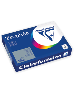 Papier Clairefontaine Trophée Vif - Coloris gris acier (250 feuilles A4 de 160g/m² )