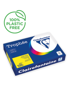 Papier Clairefontaine Trophée intense - Coloris jaune soleil (250 feuilles A3 de 120g/m² )