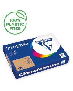 Papier Clairefontaine Trophée vif - Coloris caramel (250 feuilles A3 de 120g/m² )