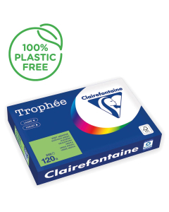 Papier Clairefontaine Trophée intense - Coloris vert menthe (250 feuilles A3 de 120g/m² )