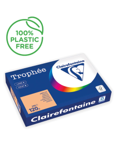 Papier Clairefontaine Trophée vif - Coloris abricot (250 feuilles A3 de 120g/m² )