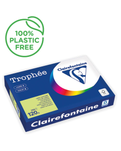 Papier Clairefontaine Trophée vif - Coloris vert nature (250 feuilles A3 de 120g/m² )