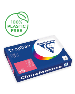 Papier Clairefontaine Trophée vif - Coloris vert églantine (250 feuilles A3 de 120g/m² )