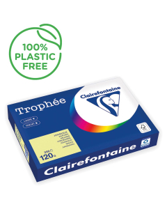 Papier Clairefontaine Trophée vif - Coloris jonquille (250 feuilles A3 de 120g/m² )