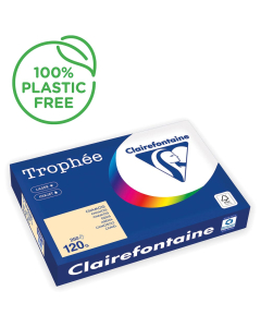 Papier Clairefontaine Trophée vif - Coloris chamois (250 feuilles A3 de 120g/m² )