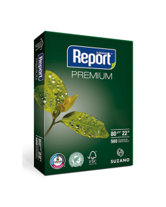 Papier reprographique qualité supérieure Report 80g A3 500 feuilles