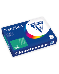 Papier Clairefontaine Trophée Intense - Coloris vert sapin (250 feuilles A4 de 160g/m² )