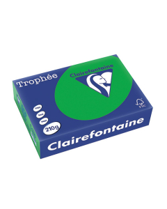 Papier Clairalfa Trophée couleur intense 210g A4 250 feuilles vert billard Clairefontaine