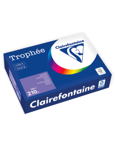 Papier Clairefontaine Trophée Intense - Coloris violine (250 feuilles A4 de 210 g/m² )