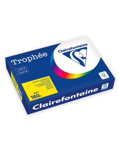 Papier Clairefontaine Trophée Intense - Coloris jaune tournesol (250 feuilles A4 de 210 g/m² )