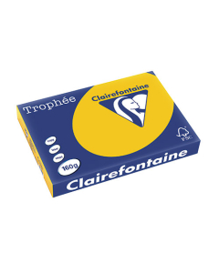 Papier Clairalfa Trophée couleur intense 160g A3 tournesol Clairefontaine