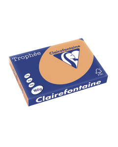 Papier Clairalfa Trophée couleur vive 160g A3 250 feuilles caramel Clairefontaine