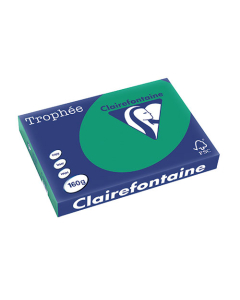 Papier Clairalfa Trophée couleur intense 160g A3 vert sapin Clairefontaine
