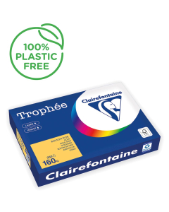 Papier Clairefontaine Trophée vif - Coloris bouton d'or (250 feuilles A3 de 160g/m² )