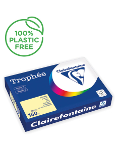 Papier Clairefontaine Trophée pastel - Coloris canari (250 feuilles A3 de 160g/m² )