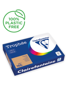 Papier Clairefontaine Trophée vif - Coloris caramel (250 feuilles A3 de 160g/m² )