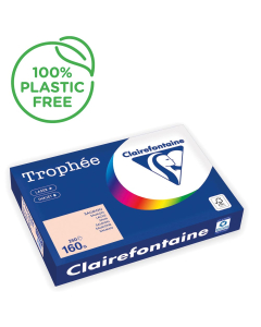 Papier Clairefontaine Trophée pastel - Coloris saumon (250 feuilles A3 de 160g/m² )