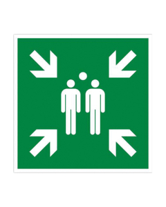 Panneau point de rassemblement 30 x 30 cm - Vert - PVC - Non adhésif