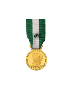 Médaille Régionale, Départementale et Communale gravée - Classe Or 35 ans - Modèle en Bronze Doré