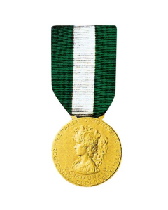 Médaille Régionale, Départementale et Communale gravée - Classe Vermeil 30 ans - Modèle en Bronze Doré
