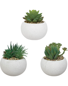 Trio de plantes grasses artificielles