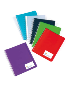 Reliure Maxi Géode Translucide de 30 pochettes mobiles pour protège-documents polypropylène coloris assortis