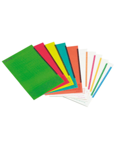 Sachet de 10 planches d'étiquettes pour dossiers supendus tiroirs coloris assortis