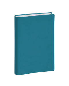 Agenda Journée Planifiée 21 - 21 x 13,5 cm - Coloris assortis