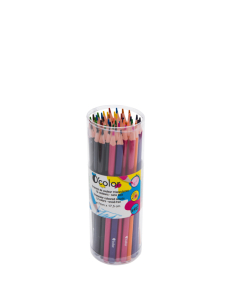Pot 48 crayons de couleurs coloris assortis