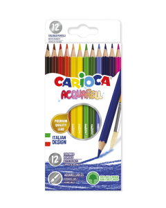 12 crayons couleurs aquarellables assortis
