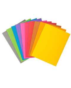 lot de 30 sous-chemises assorties