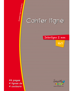 Cahier serpodile 17x22 48p l2mm avec marge niveau 5