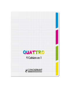 cahier 4 en 1 pp 24x32 96p seyes