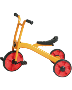 Grand tricycle eco