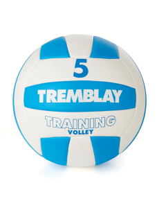 Ballon volley-ball training t5