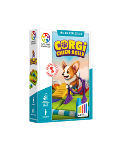 corgi chien agile