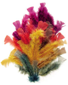 Plumes automne coloris assortis 25g