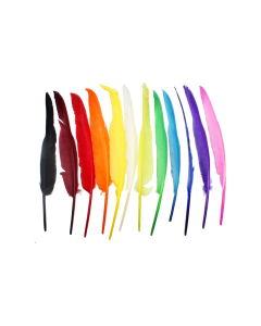 12 plumes indien 27-30cm coloris assortis