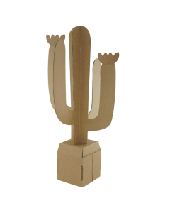 15 cactus carton brun