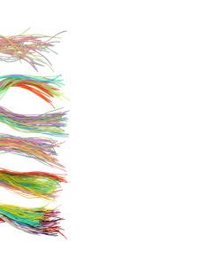 classpack 500 scoubidous assortis 80cm