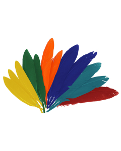 60 plumes indien 13cm coloris assortis