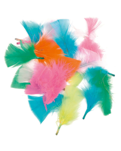 Plumes duvet tailles et coloris assortis 14g