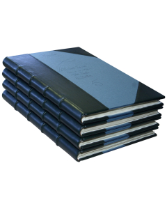 POSE DE NERFS - DOS REGISTRE